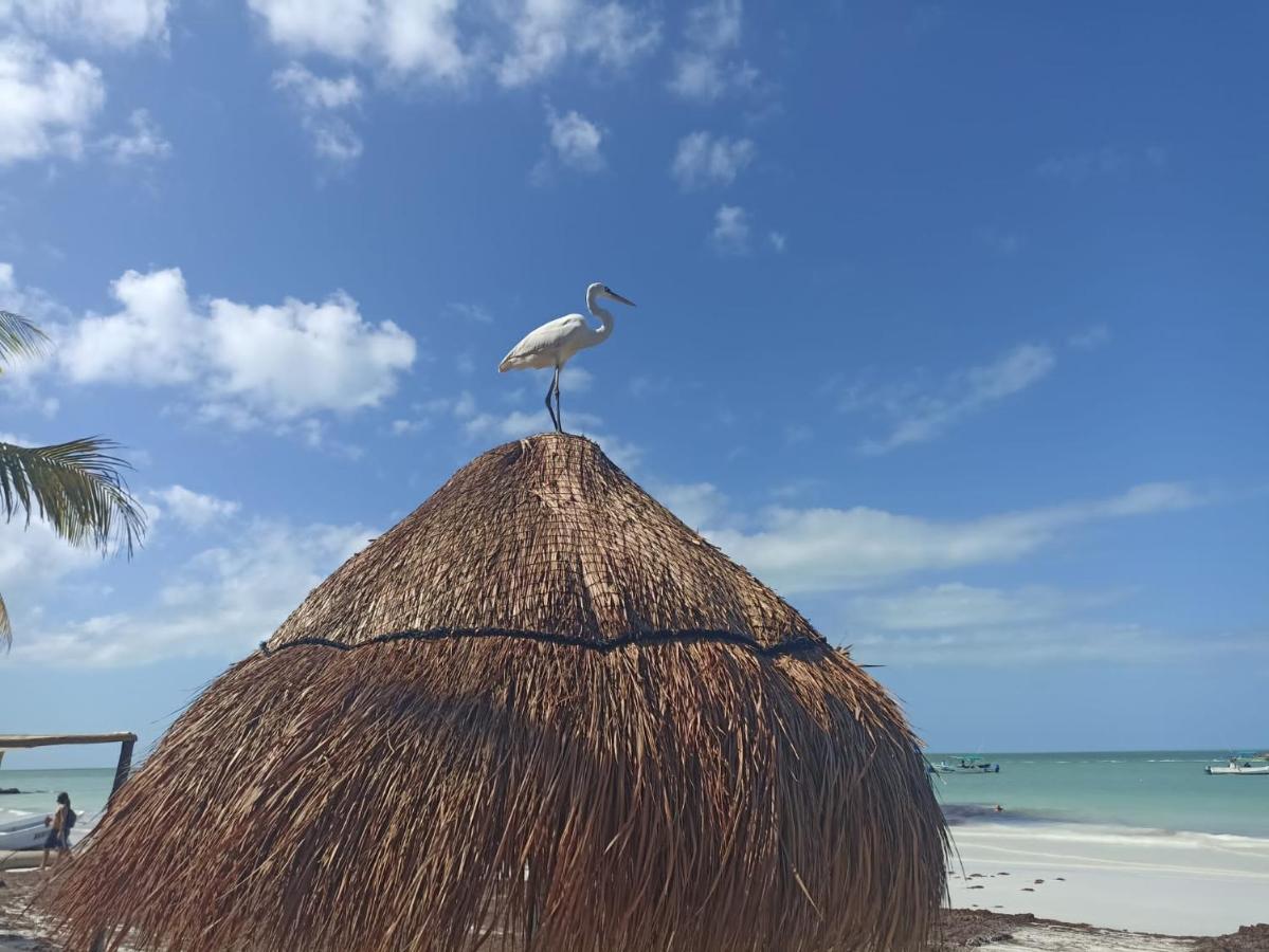 Hostel Utopia Isla Holbox Екстер'єр фото